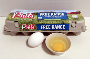 試してみよう：卵編